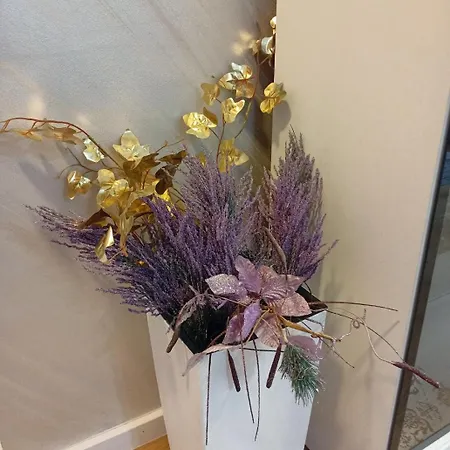 Opera Lux Hill - Relax & Free Parking