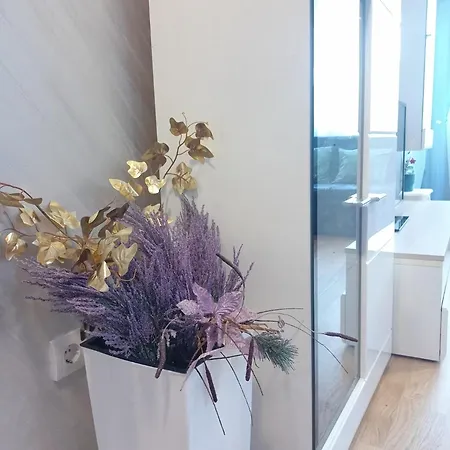 Opera Lux Hill - Relax & Free Parking